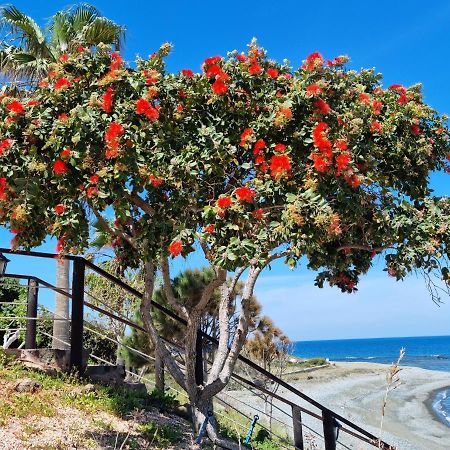 Astrofegia Beachfront Villa بوموس المظهر الخارجي الصورة